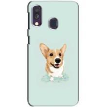 Чохли з собаками для Samsung Galaxy A40 2019 (A405F) (VPrint) (Коргі)
