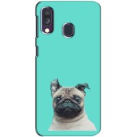 Бампер для Samsung Galaxy A40 2019 (A405F) с картинкой "Песики" – Собака Мопс
