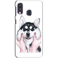 Бампер для Samsung Galaxy A40 2019 (A405F) с картинкой "Песики" (Собака Хаски)