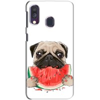 Чехол (ТПУ) Милые собачки для Samsung Galaxy A40 2019 (A405F) (Смешной Мопс)
