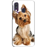 Чехол (ТПУ) Милые собачки для Samsung Galaxy A40 2019 (A405F) (Собака Терьер)