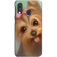 Чехол (ТПУ) Милые собачки для Samsung Galaxy A40 2019 (A405F) (Йоршенский терьер)