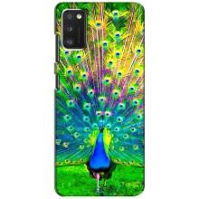 Чехол с птицами на Samsung Galaxy A41 (A415) (VPrint) (Яркий Павлин)