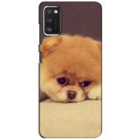 Чехол (ТПУ) Милые собачки для Samsung Galaxy A41 (A415) (Померанский шпиц)