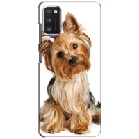 Чехол (ТПУ) Милые собачки для Samsung Galaxy A41 (A415) (Собака Терьер)