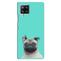 Бампер для Samsung Galaxy A42 с картинкой "Песики" – Собака Мопс
