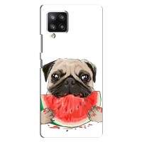 Чехол (ТПУ) Милые собачки для Samsung Galaxy A42 – Смешной Мопс