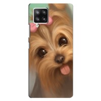 Чехол (ТПУ) Милые собачки для Samsung Galaxy A42 (Йоршенский терьер)