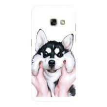 Чехлы с собаками для Samsung Galaxy A5 2017 / A520 / A520F (VPrint) (Довольный Хаски)