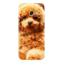 Чехлы с собаками для Samsung Galaxy A5 2017 / A520 / A520F (VPrint) (Щенок Бишон)