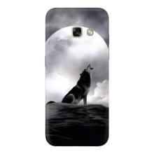 Чохол з Вовком на Samsung Galaxy A5 2017 / A520 / A520F – Вовк і місяць