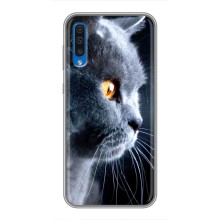 Чехлы с Котиками для Samsung Galaxy A50 2019 (A505F) (VPrint) (Серый Кот)