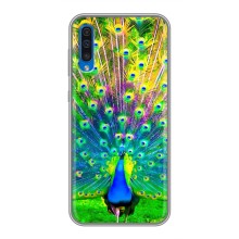 Чехол с птицами на Samsung Galaxy A50 2019 (A505F) (VPrint) (Яркий Павлин)