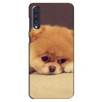 Чехол (ТПУ) Милые собачки для Samsung Galaxy A50 2019 (A505F) (Померанский шпиц)