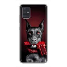 Чохол ДОБЕРМАН  для Samsung Galaxy A51 5G (A516) (Доберман злий)