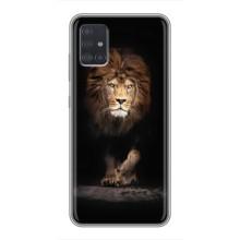 Чохол з картинкою на Samsung Galaxy A51 5G (A516) (Гарний Лев)