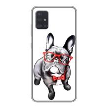 Бампер для Samsung Galaxy A51 5G (A516) з картинкою "Песики" (В окулярах)