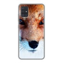 Чохол з Лисичкою для Samsung Galaxy A51 5G (A516) (Руда Лисичка)