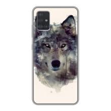 Чохол з Вовком на Samsung Galaxy A51 5G (A516) (Вовк)