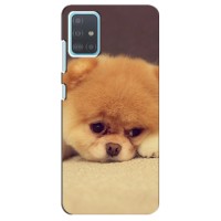 Чехол (ТПУ) Милые собачки для Samsung Galaxy A51 (A515) – Померанский шпиц