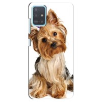 Чехол (ТПУ) Милые собачки для Samsung Galaxy A51 (A515) – Собака Терьер