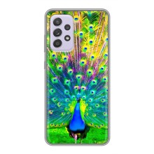 Чехол с птицами на Samsung Galaxy A52 (VPrint) (Яркий Павлин)