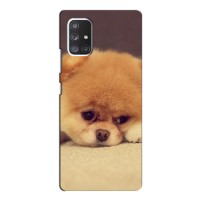 Чехол (ТПУ) Милые собачки для Samsung Galaxy A52 (Померанский шпиц)