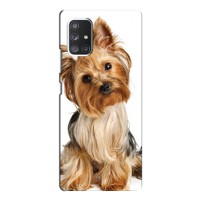 Чехол (ТПУ) Милые собачки для Samsung Galaxy A52 – Собака Терьер