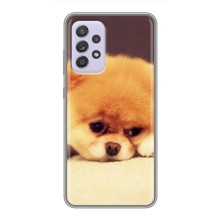 Чехол (ТПУ) Милые собачки для Samsung Galaxy A52s 5G (A528) (Померанский шпиц)