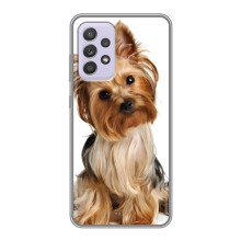 Чехол (ТПУ) Милые собачки для Samsung Galaxy A52s 5G (A528) (Собака Терьер)