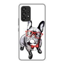 Бампер для Samsung Galaxy A53 (5G) с картинкой "Песики" (В очках)