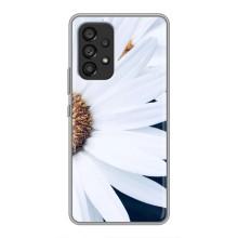 Чехол с ромашками на Samsung Galaxy A53 (5G) – Пол ромашки
