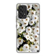 Чехол с ромашками на Samsung Galaxy A53 (5G) – Рамка в ромашках