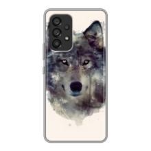 Чохол з Вовком на Samsung Galaxy A53 (5G) – Вовк
