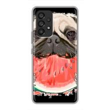 Чехол (ТПУ) Милые собачки для Samsung Galaxy A53 (5G) (Смешной Мопс)