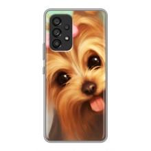 Чехол (ТПУ) Милые собачки для Samsung Galaxy A53 (5G) (Йоршенский терьер)