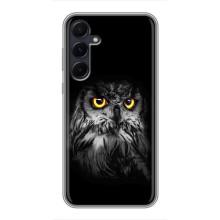 Чехлы с принтом СОВЫ для Samsung Galaxy A55 – Сова на чёрном