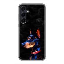 Бампер для Samsung Galaxy A55 с картинкой "Песики" (Собака Мопс)