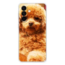 Чехлы с собаками для Samsung Galaxy A57 (VPrint) (Щенок Бишон)