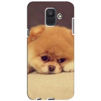 Чехол (ТПУ) Милые собачки для Samsung Galaxy A6 2018, A600F – Померанский шпиц