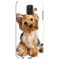 Чехол (ТПУ) Милые собачки для Samsung Galaxy A6 2018, A600F (Собака Терьер)