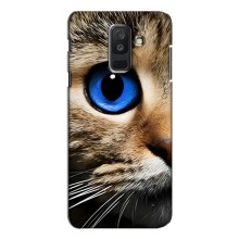 Чехлы с Котиками для Samsung Galaxy A6 Plus 2018 ( A605) (VPrint) (Глаз кота)