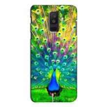 Чехол с птицами на Samsung Galaxy A6 Plus 2018 ( A605) (VPrint) (Яркий Павлин)