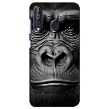Чохли з Горилою на Самсунг А60 (2019) – Чорна мавпа