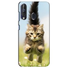 Чехлы с Котиками для Samsung Galaxy A60 2019 (A605F) (VPrint) (Прыжок кота)