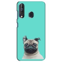 Бампер для Samsung Galaxy A60 2019 (A605F) с картинкой "Песики" (Собака Мопс)