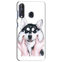 Бампер для Samsung Galaxy A60 2019 (A605F) с картинкой "Песики" – Собака Хаски