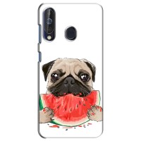 Чехол (ТПУ) Милые собачки для Samsung Galaxy A60 2019 (A605F) – Смешной Мопс