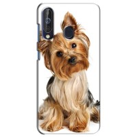 Чехол (ТПУ) Милые собачки для Samsung Galaxy A60 2019 (A605F) (Собака Терьер)