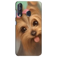 Чехол (ТПУ) Милые собачки для Samsung Galaxy A60 2019 (A605F) – Йоршенский терьер
